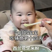 6月龄宝宝西兰花泥制作指南：清洗去虫与营养保留要点