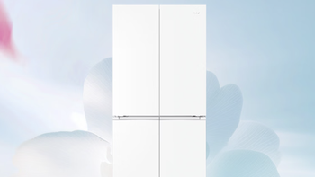 海尔（Haier）「山茶花2.0」BCD-501WGHTDC4FBU1冰箱 501L