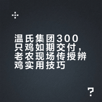 300只鸡如约交付 老农一招教你辨好鸡