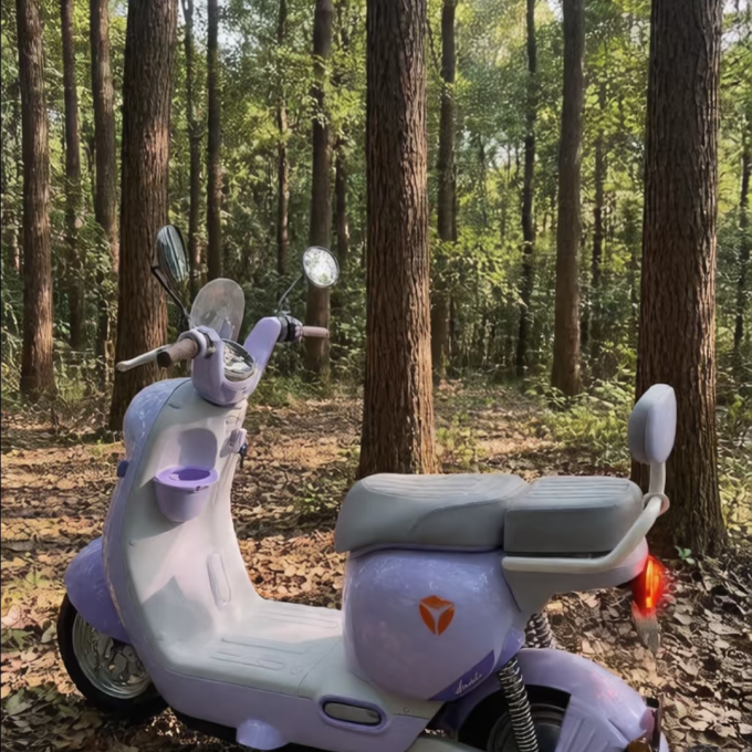雅迪电动车