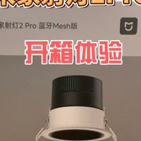 智能灯只看显指踩大坑！米家射灯2Pro开箱体验