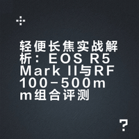 原来这么强!这一套拍鸟设备真的感动到我了！