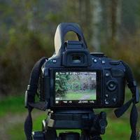 相机长时间搁置不用等于慢性报废 如何保养长期不用的相机