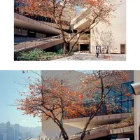 我的第一台傻瓜胶片机出片啦！