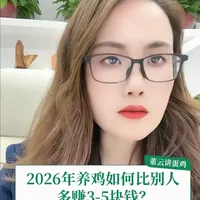 2026年蛋鸡养殖增效策略：如何实现单只多赚3-5元