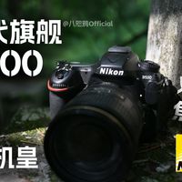 尼康半画幅的顶点 | 尼康D500测评 | 末代机皇