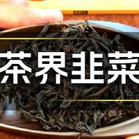 岩茶测评：曦瓜肉桂，号称正岩，其实是洲茶！说是肉桂，其实是混拼，营销拉满了，太难喝了！