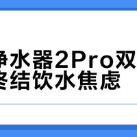 即热净水器2Pro双出水真能终结饮水焦虑？三类家庭闭眼入，两类人群劝退