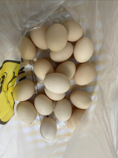 信阳FIRE生活｜今日买菜价格20260421