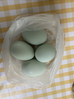 信阳FIRE生活｜今日买菜价格20260421