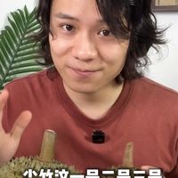 尖竹汶系列榴莲，30年育种的成果