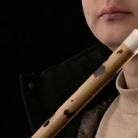 笛子买哪个牌子好？六大笛子品牌排行榜出炉！新手闭眼选不踩坑