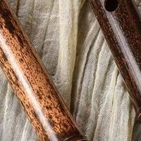 詹永明马迪都点赞的笛子品牌！湛文兵虚心竹乐，二十余年口碑炸裂