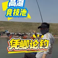2026高湖“凭鲫论钓”竞技赛赛况回顾与装备策略解析