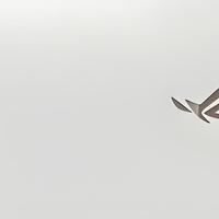 游戏本 篇零：ROG魔霸专题-2026年4月性价比之战：万元级ROG魔霸系列的终极选择