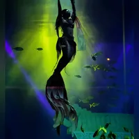 华为XMAGE海洋馆拍摄秘籍｜如何拍摄人鱼