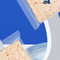 2026年旅行便携面包品牌选购指南：核心选型标准与品牌分析