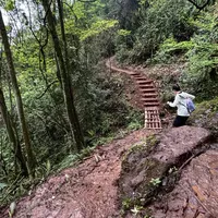 主城周边2小时｜江津四面山·寻龙道徒步