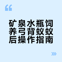 矿泉水瓶养弓背蚁