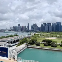 🇸🇬迪士尼探险号第二批分享⚓️