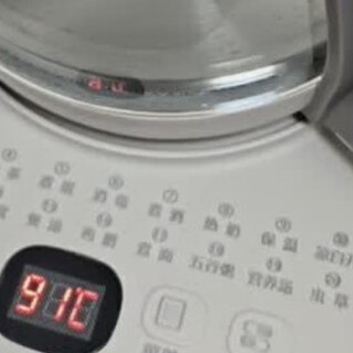 闲鱼捡漏荣事达养生壶