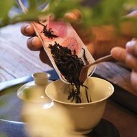 新手别再乱买紫砂套组了！单壶才是自饮首选，避坑指南看这一篇就够了