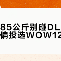 体重超85公斤别碰DLO前掌，打法偏投选WOW12更稳