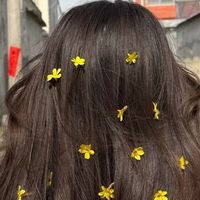 发膜什么牌子顺滑效果好？5款高口碑发膜，精准修护不同发质问题