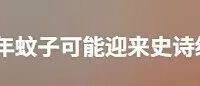 蚊子战力开挂!蚊香标着微毒,到底该怎么用?