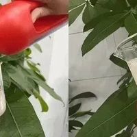 上门疏通一口价100，通完收我1300？我被坑惨了！
