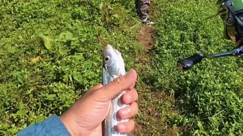 微物路亚瓜子亮片使用指南：选型、原理与操作解析