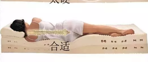 天然护脊床垫到底应该怎么选？七区分区护脊设计真的对脊椎有用吗