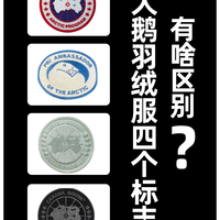 加拿大鹅四大标系全解析，到底有什么不同？