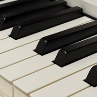 2026新手入门电钢琴推荐，88键重锤闭眼入