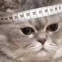 四月气温回暖，甲醛也“失控”！十款热门空气净化器全维实测指南