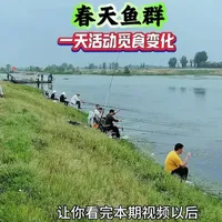 春季钓鱼实测：全天鱼情变化与选位规律解析
