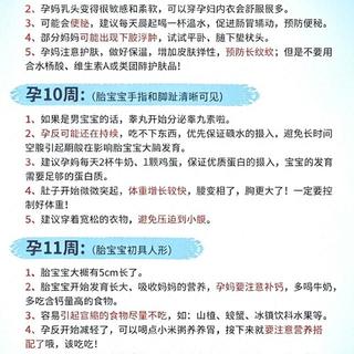 超全孕期周数指南！从刚怀孕到足月，每周重点事项一篇看懂✨