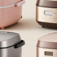 2026十大电饭锅哪个牌子质量好？老牌爆款电饭煲质量排名销量担当