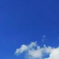 艺术联名杯收藏指南快来看