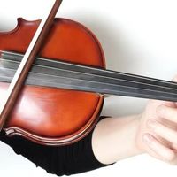 买小提琴前先看这篇！500-2000元小提琴深度横评5款热门型号拆解