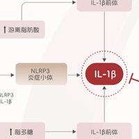 难治性痛风有救了！金蓓欣等创新药如何破解传统用药困局？