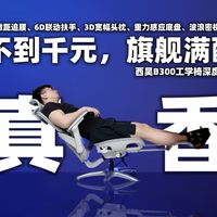 不到千元，旗舰配置！西昊B300人体工学椅深度体验。