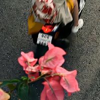 2026年燕窝怎么选？实测5大优质品牌，避坑不踩雷