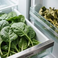 全嵌冰箱别再只看厚度！三大品牌底层逻辑大不同，选错一台毁厨房