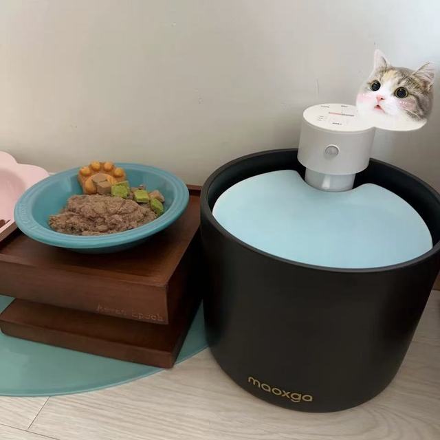 喵享家第五代猫咪饮水机｜不插电+恒温！铲屎官彻底解放双手🐱