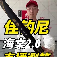 佳钓尼海棠2.0 7.2米鱼竿实测：重量与吊重性能分析