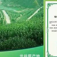 春季吃新茶✅狮峰龙井明前特级！春茶鲜爽不涩 自饮送礼皆可