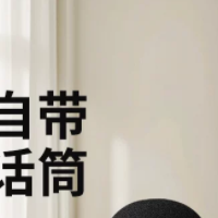 唱吧小巨蛋C20话筒音响一体麦克风小唱C10无线家用K歌儿童家庭ktv
