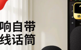 唱吧小巨蛋C20话筒音响一体麦克风小唱C10无线家用K歌儿童家庭ktv
