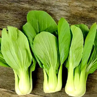 研究发现：血管斑块“最怕”的6种食物！每天吃一点，血管更通畅